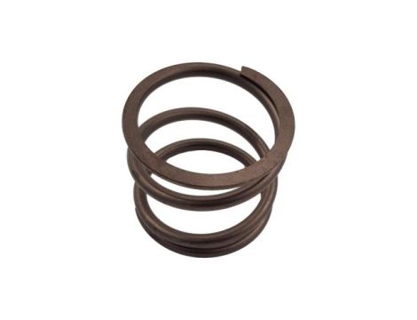 Sprężyna do mostu Carraro 129896