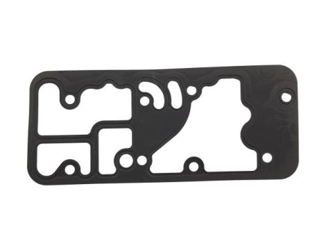 Uszczelnienie do Carraro 149995
