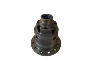 Obudowa dyfra dyferencjalu do ZF 4461353061